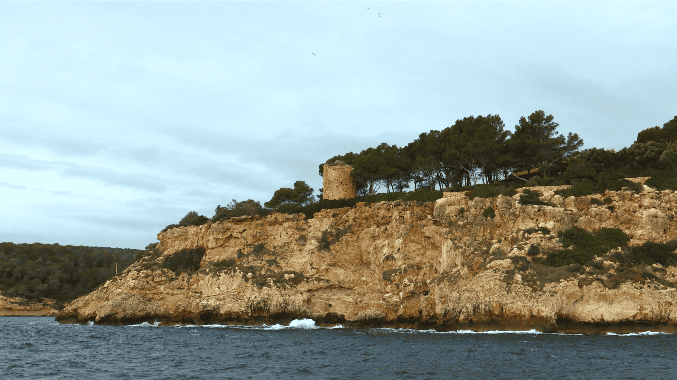 Boat charter to Portals Vells