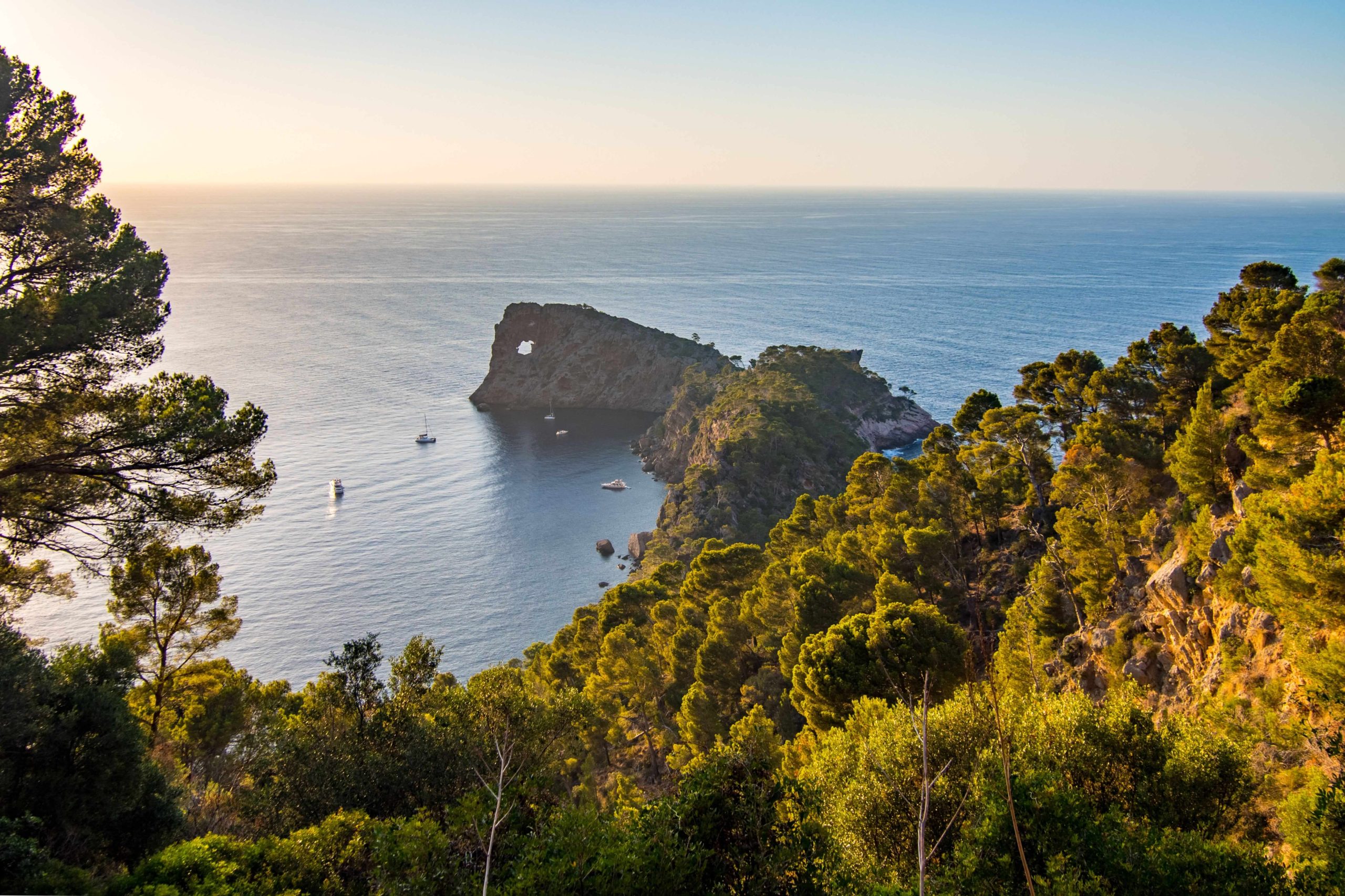 Boat Charter to Soller from portals